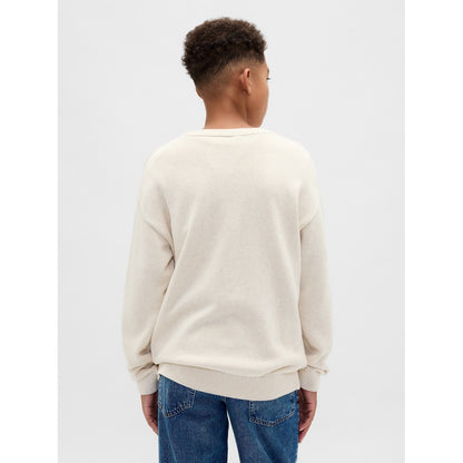 Boys' Relaxed Crewneck Sweater