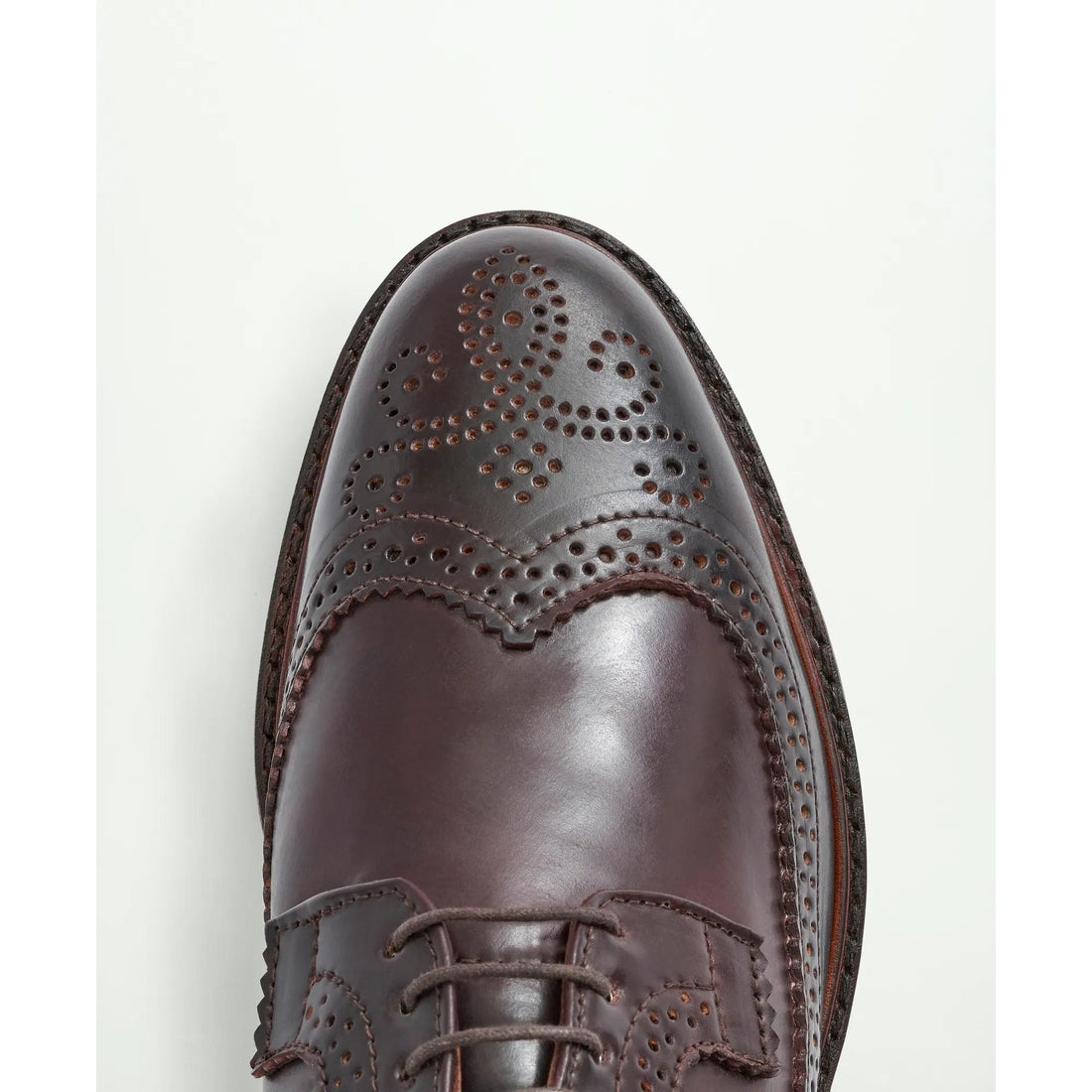 Rancourt Cordovan Longwing