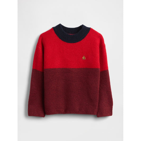 Toddler & Colorblock Sweater