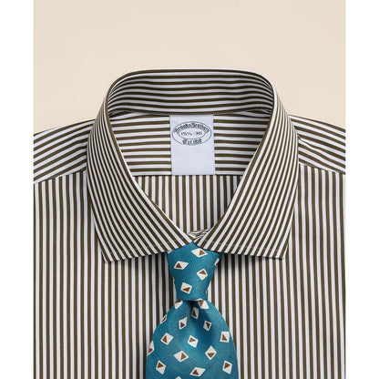 Pure Supima Cotton Regular-Finish English Spread Collar, Stripe Dress Shirt
