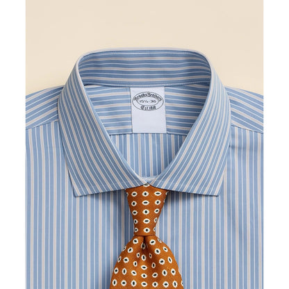 Pure Supima Cotton Regular-Finish English Spread Collar, Ground Stripe Dress Shirt