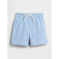 Toddler & Seersucker Swim Trunks