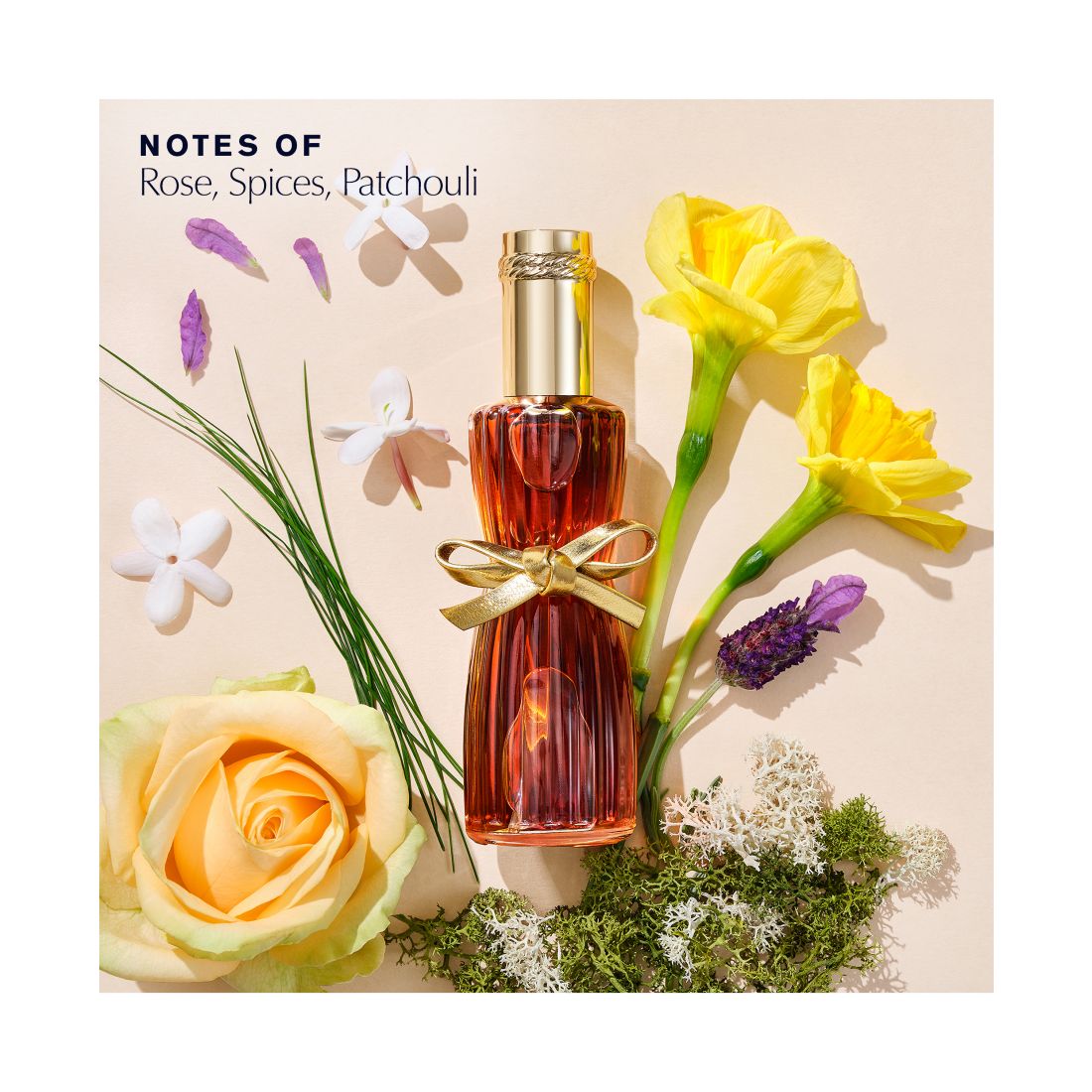 Estee Lauder 2-Pc. Youth-Dew Eau De Parfum Gift Set