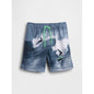 Boys' 5" Recycled Swim Trunks