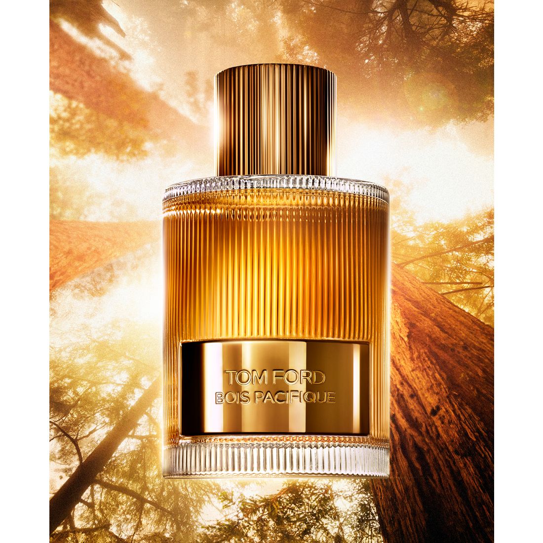 Tom Ford Bois Pacifique Men's Eau de Parfum, 3.4 oz.