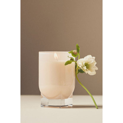 Found Notes Fruity Vanilla & Dark Plum Candle by Found Notes by Anthropologie